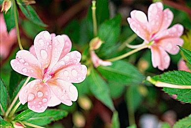 《胜利女神》最新更新上线 首弹突破性能版女神登场